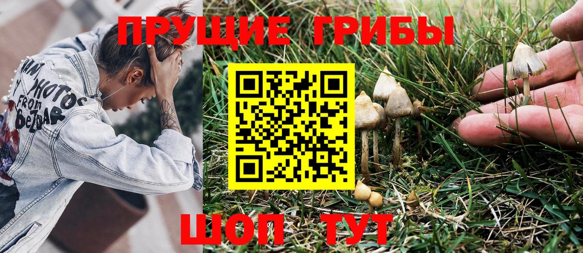 Псилоцибиновые грибы MAGIC MUSHROOMS Асино